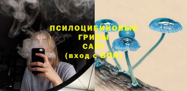 тгк Аркадак