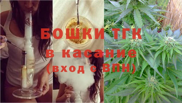 шишки Алзамай