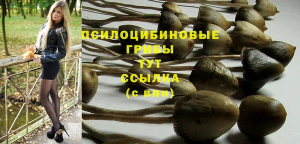 молекула духа Алексин