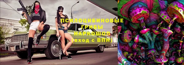 шишки Алзамай