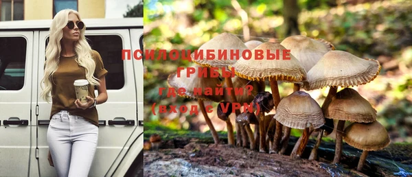 молекула духа Алексин