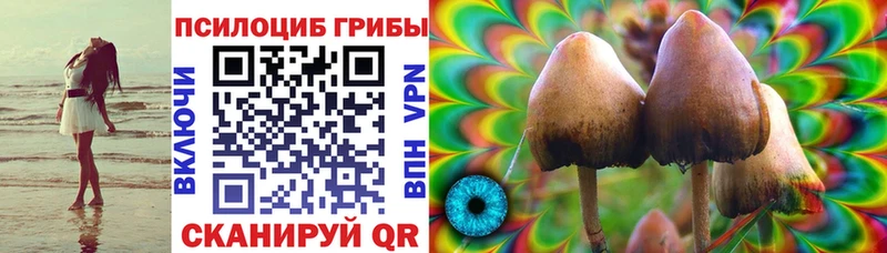 Купить закладки  Волоколамск  Галлюциногенные грибы Psilocybe 